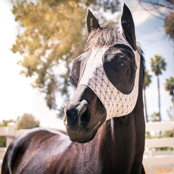 Royal Equestrian Regalia di Roma Fly Mask Sand