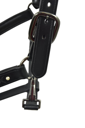 Royal Equestrian Pro Diamond Jog Leather Halter - Royal Equestrian