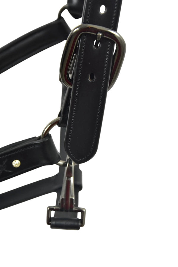 Royal Equestrian Pro Diamond Jog Leather Halter - Royal Equestrian