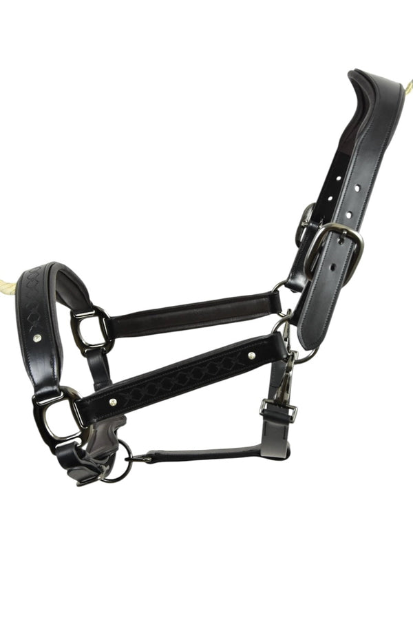 Royal Equestrian Pro Diamond Jog Leather Halter - Royal Equestrian