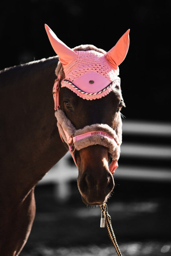 Royal Equestrian Fur Halter Croco Chocolate Full - Royal Equestrian