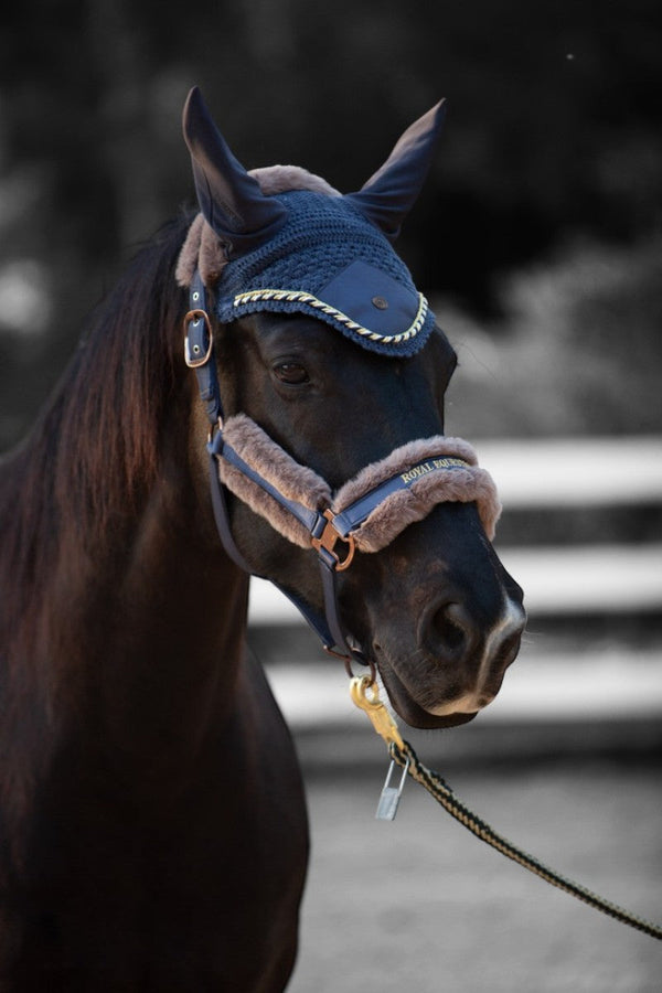 Royal Equestrian Fur Halter Navy Full - Royal Equestrian