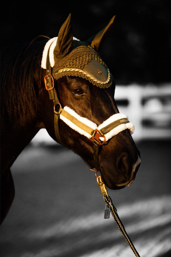 Royal Equestrian Fur Halter Chocolate Full - Royal Equestrian
