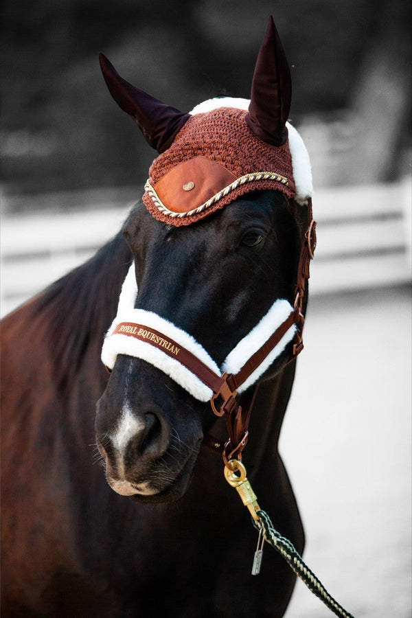 Royal Equestrian Premium Ear Bonnet Chocolate Full - Royal Equestrian