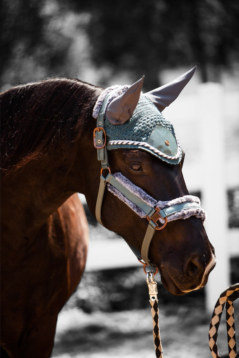 Royal Equestrian Premium Ear Bonnet Black Silver Full