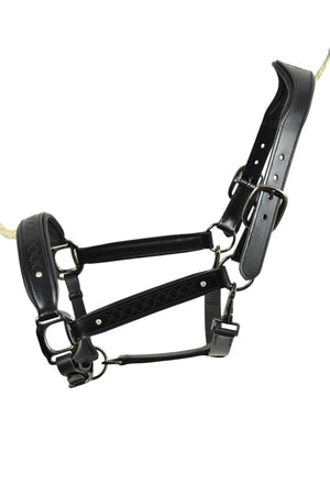 Royal Equestrian Pro Diamond Jog Leather Halter - Royal Equestrian