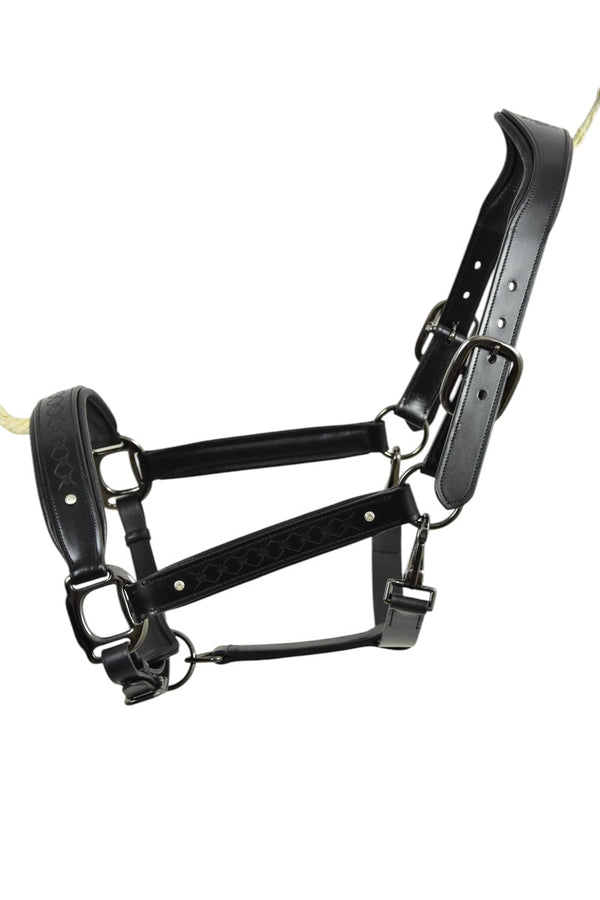 Royal Equestrian Pro Diamond Jog Leather Halter - Royal Equestrian
