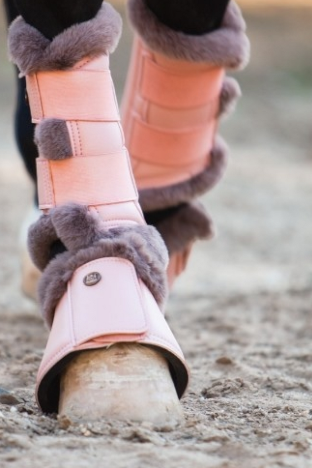 Royal Equestrian Premium Bell Boots Pink - Royal Equestrian