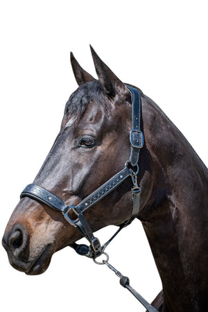 Royal Equestrian Pro Diamond Jog Leather Halter - Royal Equestrian