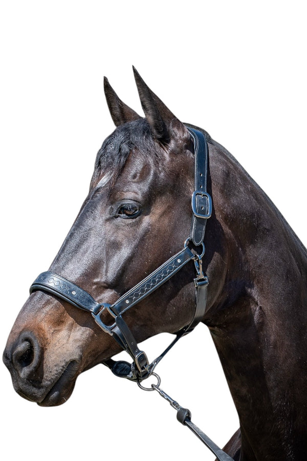Royal Equestrian Pro Diamond Jog Leather Halter - Royal Equestrian