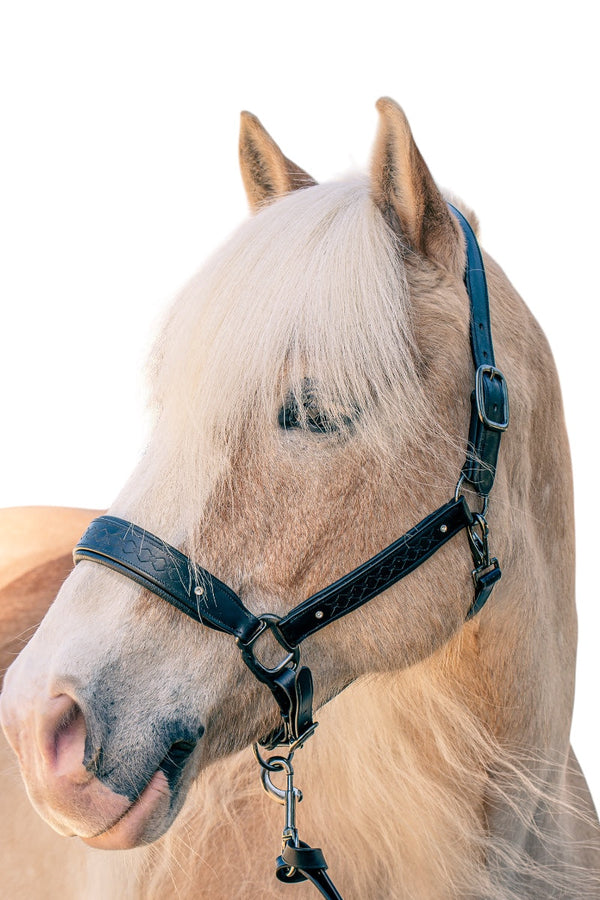 Royal Equestrian Pro Diamond Jog Leather Halter - Royal Equestrian