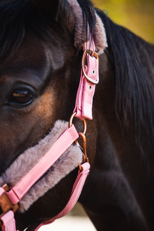 Royal Equestrian Fur Halter Pink Full - Royal Equestrian