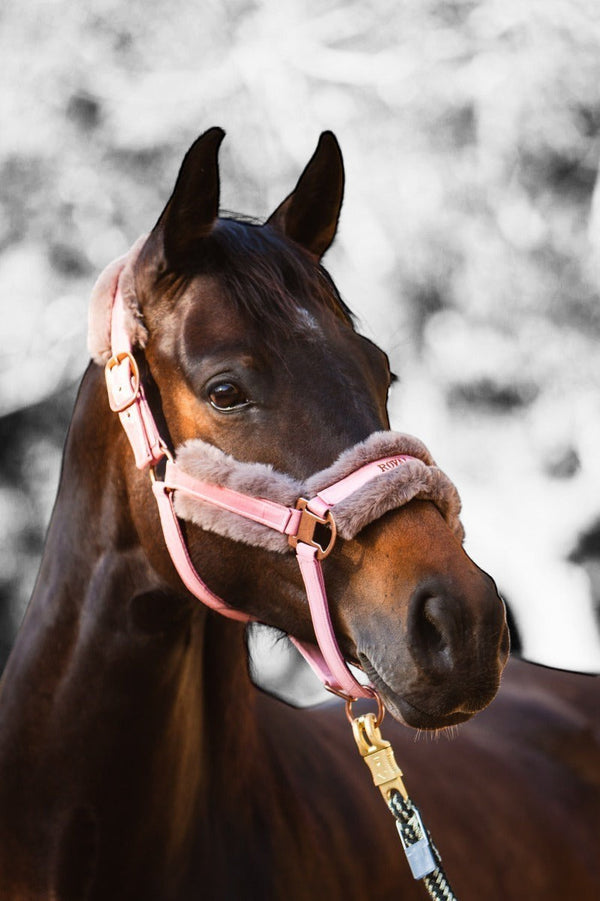 Royal Equestrian Fur Halter Pink Full - Royal Equestrian