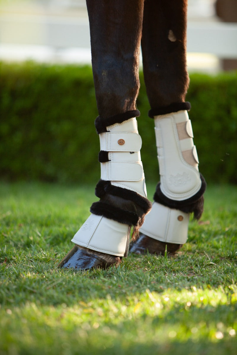 Royal Equestrian Premium Bell Boots White Black - Royal Equestrian