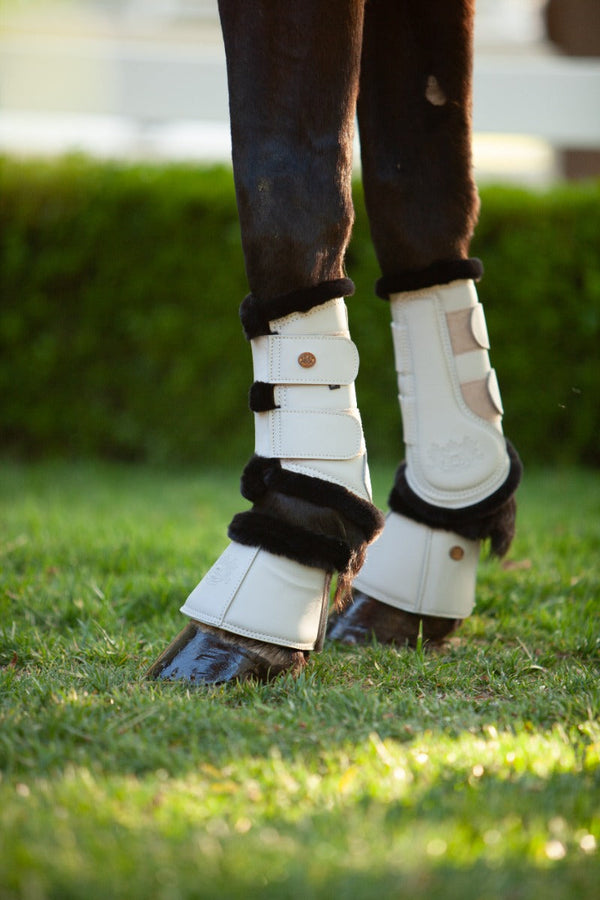 Royal Equestrian Premium Bell Boots White Black - Royal Equestrian
