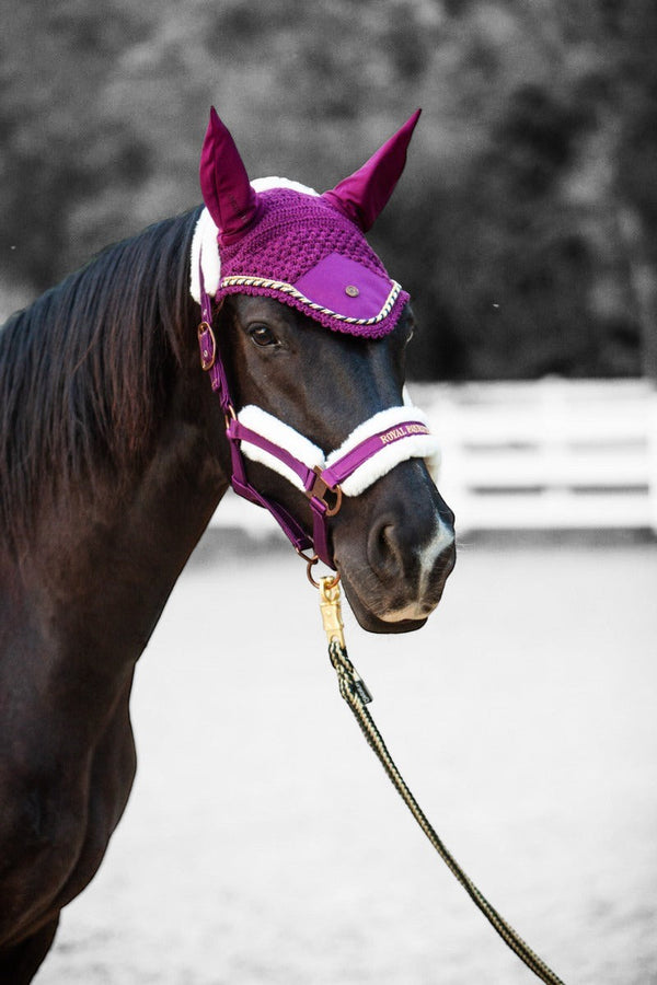 Royal Equestrian Premium Ear Bonnet Purple Navy Full - Royal Equestrian