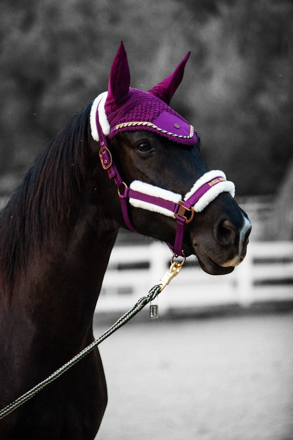 Royal Equestrian Premium Ear Bonnet Purple Navy Full - Royal Equestrian