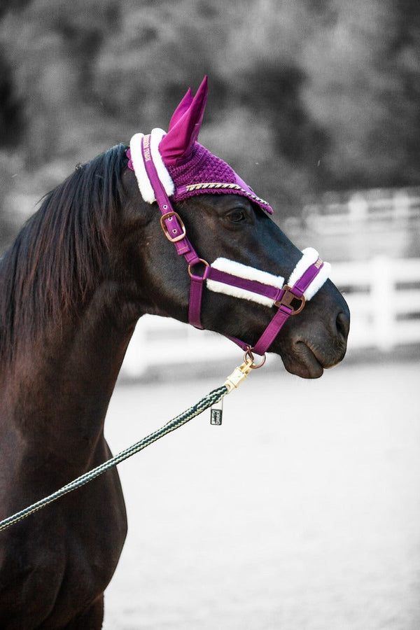 Royal Equestrian Premium Ear Bonnet Purple Navy Full - Royal Equestrian
