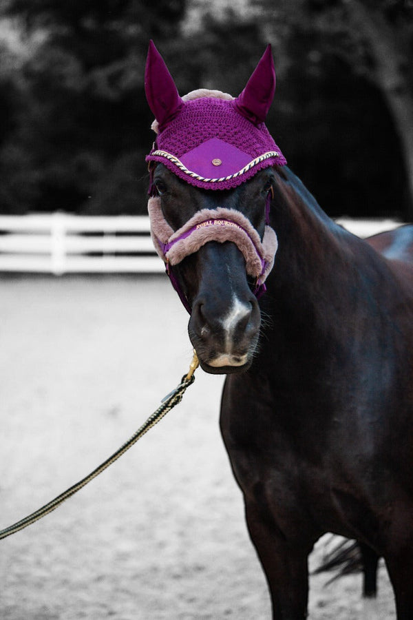 Royal Equestrian Premium Ear Bonnet Purple Navy Full - Royal Equestrian