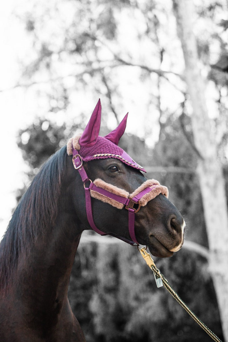 Royal Equestrian Premium Ear Bonnet Purple Black Full