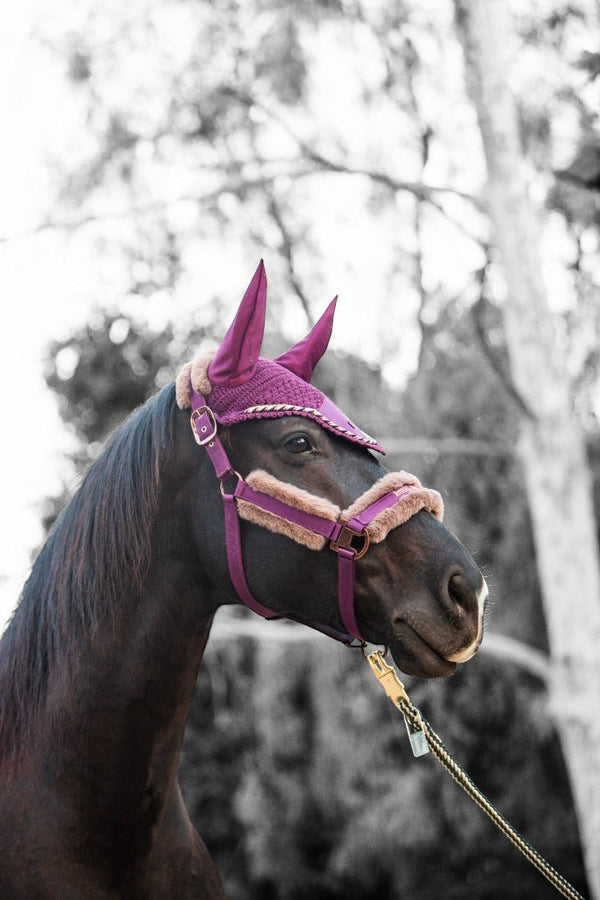 Royal Equestrian Premium Ear Bonnet Purple Black Full - Royal Equestrian
