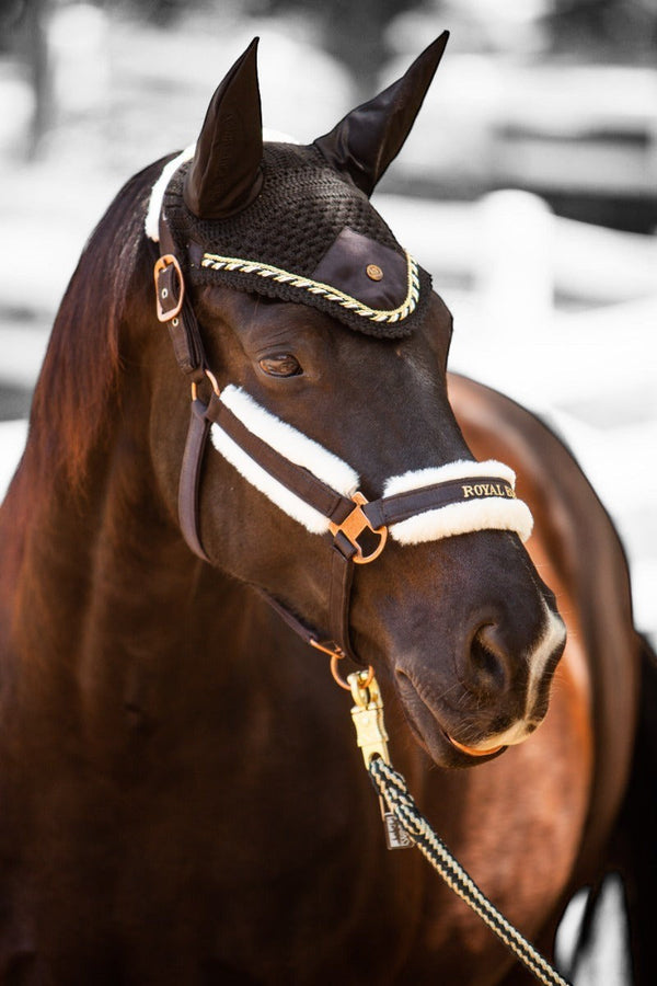 Royal Equestrian Premium Ear Bonnet Black Gold Full - Royal Equestrian