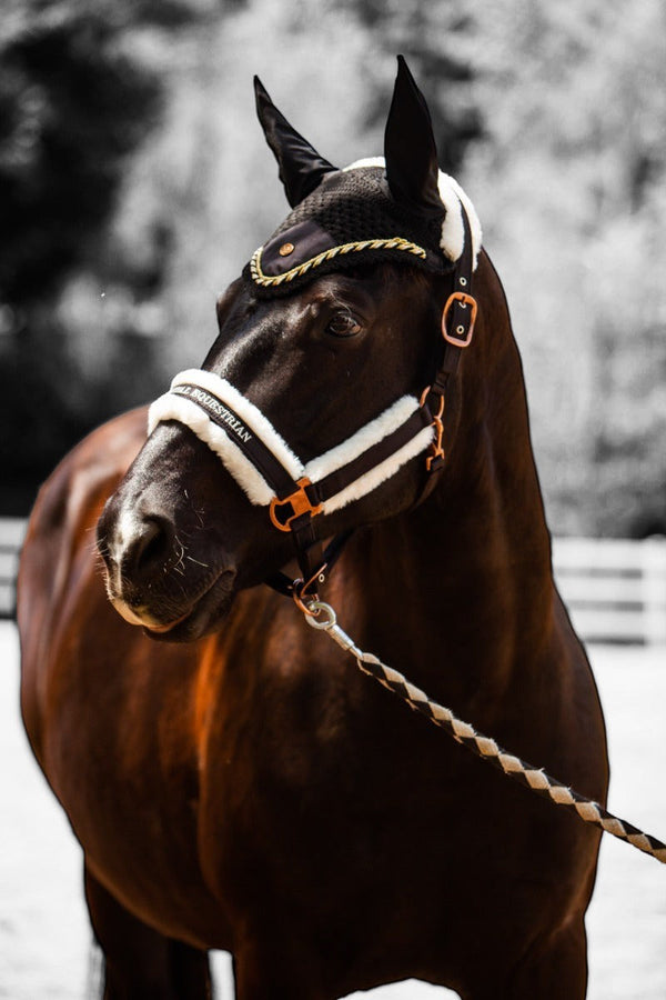Royal Equestrian Premium Ear Bonnet Black Gold Full - Royal Equestrian