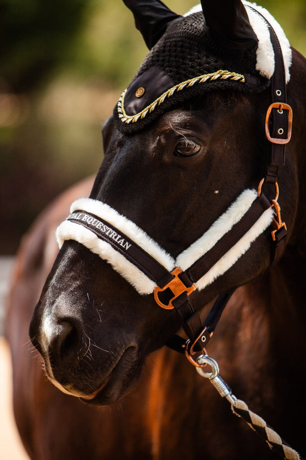 Royal Equestrian Premium Ear Bonnet Black Gold Full