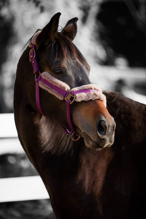 Royal Equestrian Fur Halter Purple Full - Royal Equestrian