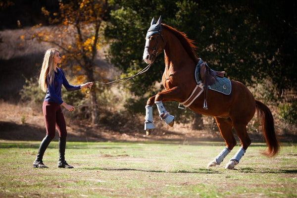 Royal Equestrian Dressurschabracke Marine Blau Voll - Royal Equestrian