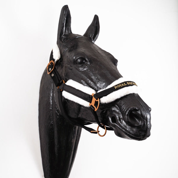 Royal Equestrian Licou Fourrure Noir Or Plein - Royal Equestrian