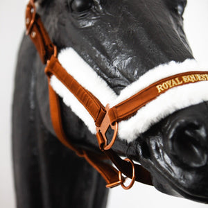 Royal Equestrian Licou en fourrure Chocolate Full - Royal Equestrian