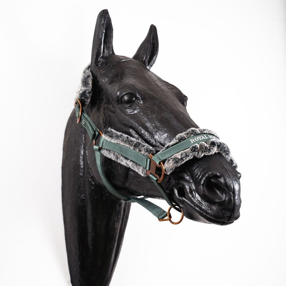 Royal Equestrian Fur Halter Marine Full - Royal Equestrian