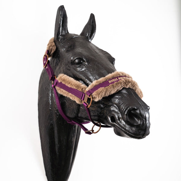 Royal Equestrian Licou en fourrure Purple Full - Royal Equestrian