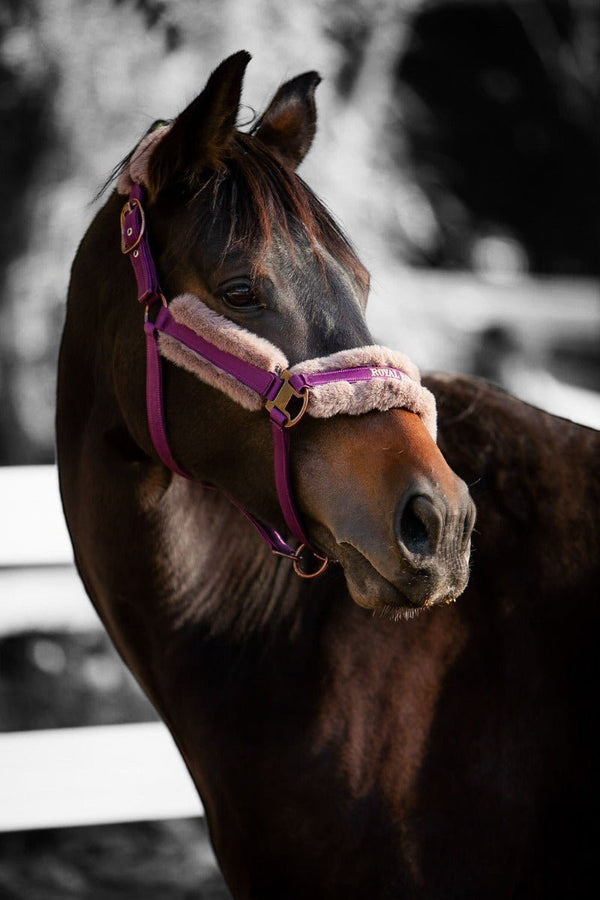 Royal Equestrian Licou en fourrure Purple Full - Royal Equestrian