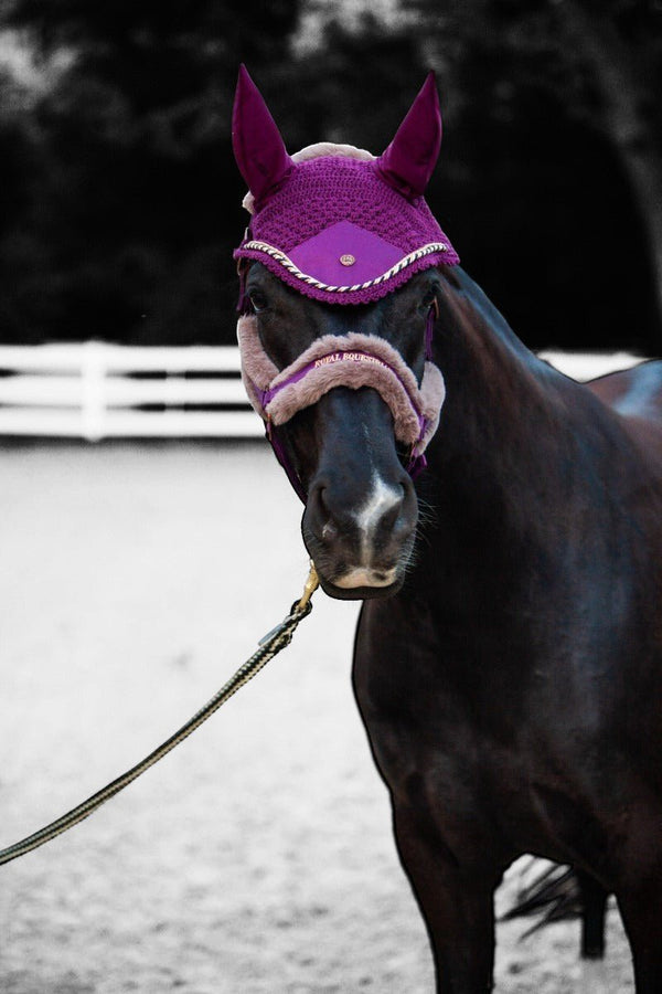 Royal Equestrian Licou en fourrure Purple Full - Royal Equestrian