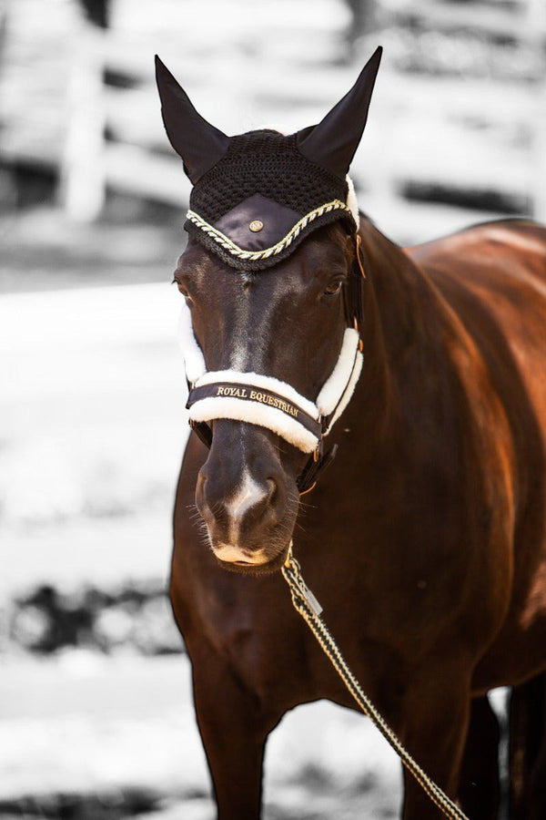 Royal Equestrian Premium Ear Bonnet Black Gold Full - Royal Equestrian