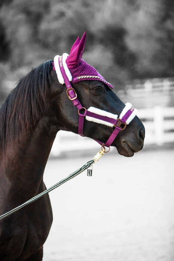Royal Equestrian Premium Ear Bonnet Purple Navy Full - Royal Equestrian