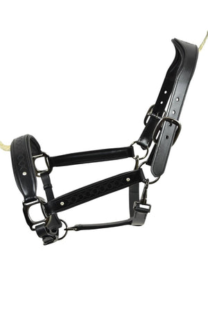 Royal Equestrian Pro Diamond Jog Leather Halter - Royal Equestrian