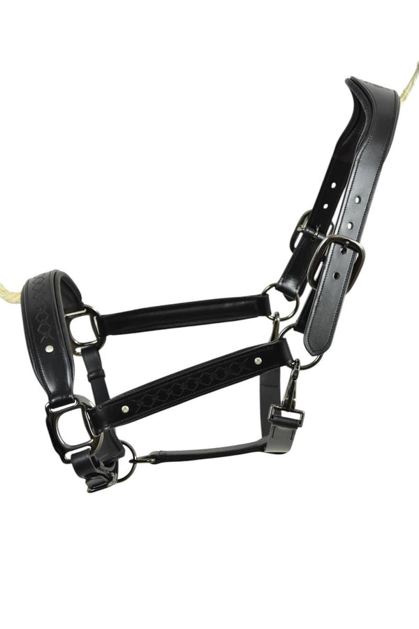 Royal Equestrian Pro Diamond Jog Leather Halter - Royal Equestrian