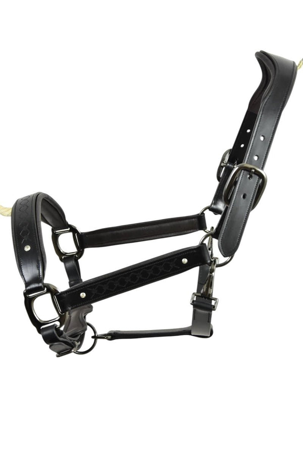 Royal Equestrian Pro Diamond Jog Leather Halter - Royal Equestrian