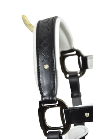 Royal Equestrian Pro Diamond Jog Leather Halter - Royal Equestrian