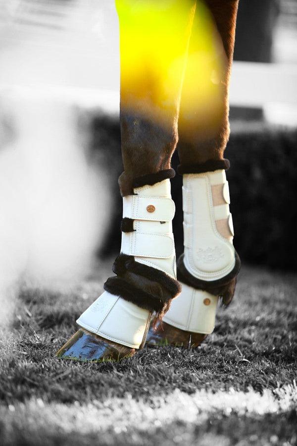 Royal Equestrian Lined Brushing Boots White Black - Royal Equestrian